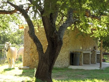 Ablution and washing-up facilities