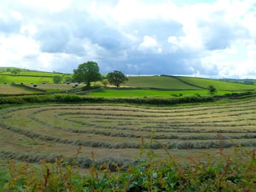 Summertime in new hutton