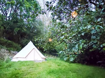 Unwind in your bell tent surrounded by greenery