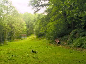 The valley