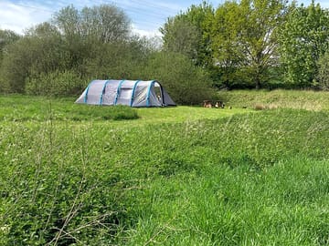 Hidden Pitch