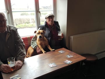 Dogs welcome in the pub