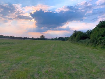Rushbeds Wood Campsite