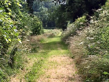 Path around the site