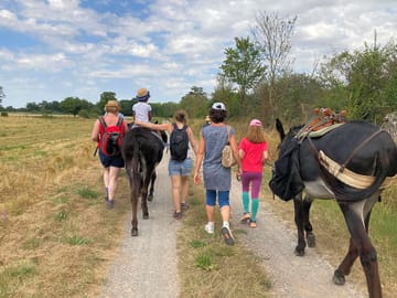 Donkey treks