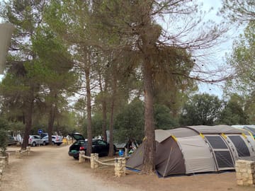 Spacious pitches