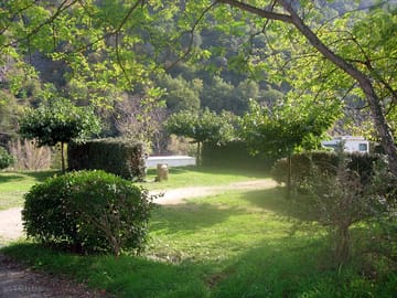 Green pitches for your camping equipment