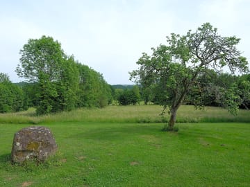 Three acres of grounds