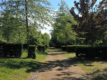 Pitches area