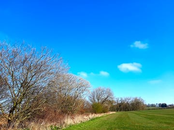 One of the pitches, sheltered by trees