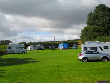 Clean cut site with some shelter