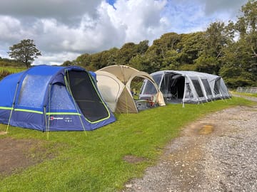 Our camping plots