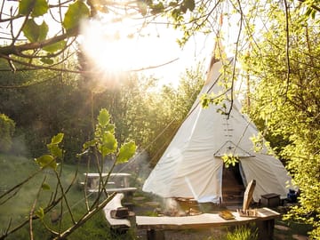 Secluded woodland setting