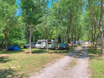 View of the site