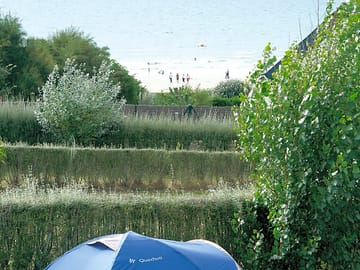 Grass tent pitches surrounded by green