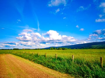 Hay field cut ready for a tent
