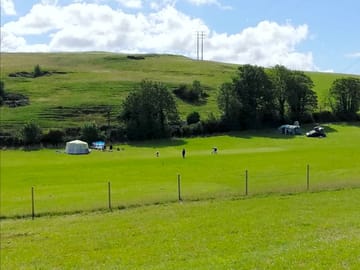 The site