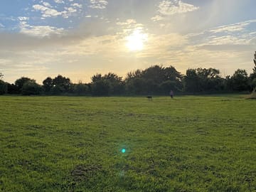 Bottom of the site's field