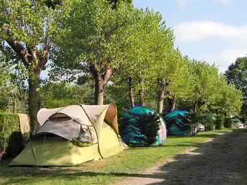 Pitches surrounded by trees