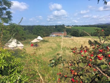 View over the site