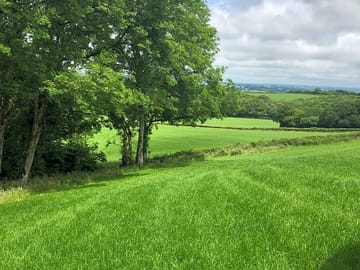 Grassy area