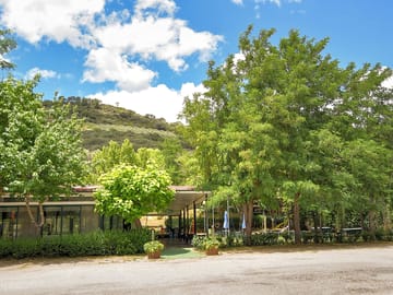 Leafy site