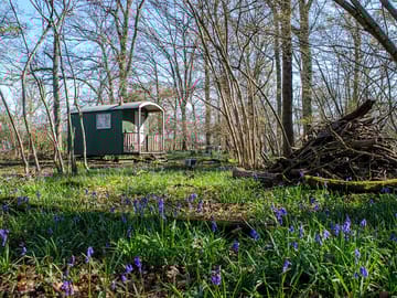 Knepp wildland safaris and camping