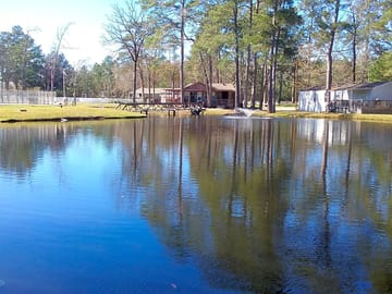 Pond next to the pool