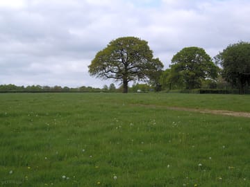Another quiet day, often it's just 1,2, or 3 campers who can enjoy all this space!