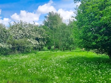 Bottom camping field