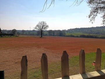 Pitch