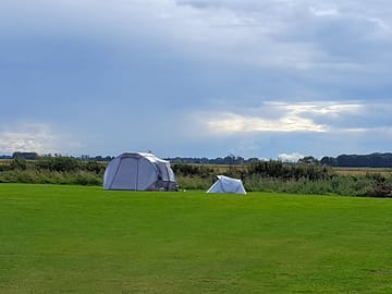 The main field