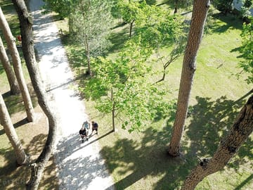 Around the site