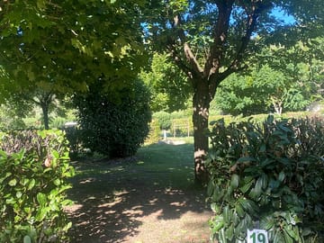 Around the site