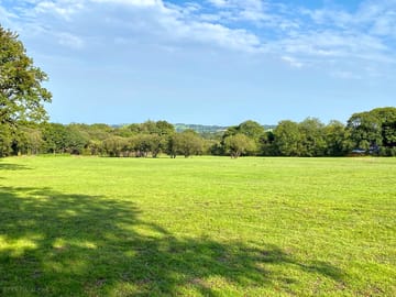 Paddock view