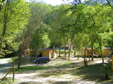 Lodges among the trees