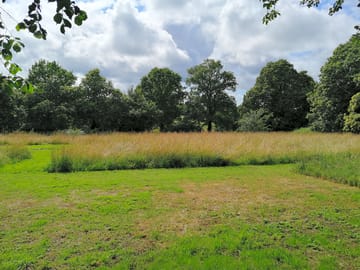 View from pear pitch