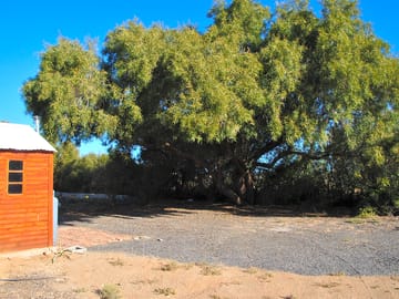 All guests have a tree for shade