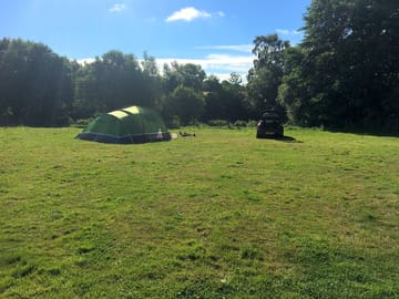 Surrounded by trees