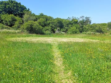 Freshly mown walking paths to your pitch