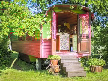 Pacouli exterior
