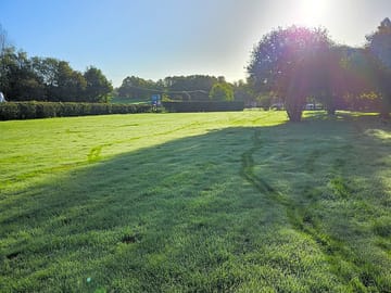 Grass pitches shaded by trees