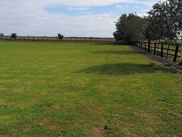 Fruit trees at the edge of the site