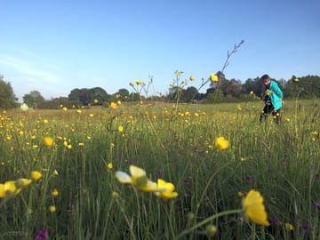 Dean meadow