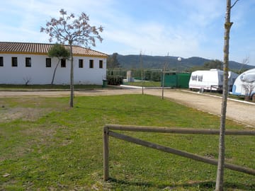 Sunny grass pitches