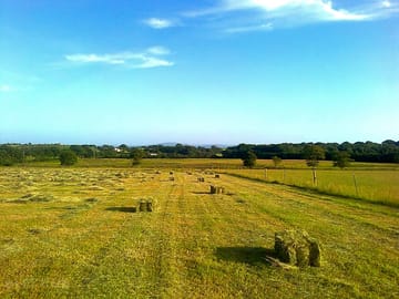 Making hay in the meadow