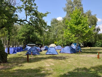 Shaded site