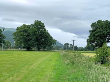 Flat pitches
