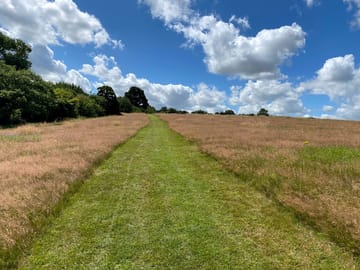 Well-kept paths