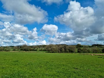 Grassy pitches